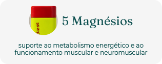 5 Magn&eacute;sios